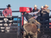 Steel Wheel Stampede Weekend Recap