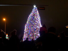 Stettler’s Main Street Tree is Lit!