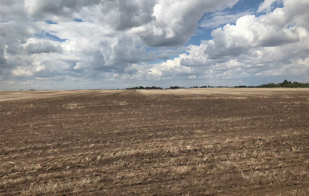 UpscaleImage_2_20250501 - Hometown Media Stettler