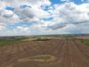 Stettler Solar Project Wins AUC Approval Despite Local Opposition