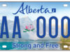 The Results Are In: New License Plate Revealed