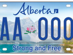 The Results Are In: New License Plate Revealed