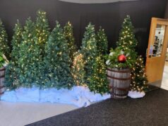 Festival of Lights Raises Over $131,000 During 2025 Campaign