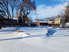 Town of Stettler Awards Flower Contract For 2026