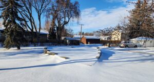 Town of Stettler Awards Flower Contract For 2026