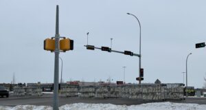 Truck Loses Load of Chickens at Stettler Intersection
