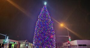 Town of Stettler To Sell Ornament Sponsorships on Main Street Tree