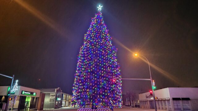 Stettler Main Street Tree