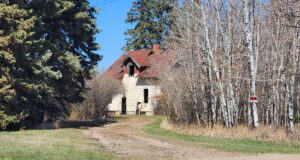 Stettler House Fire Deemed Suspicious; No Injuries Reported Abandoned beige house with a red roof partially hidden by bare trees along a dirt path under a clear blue sky.