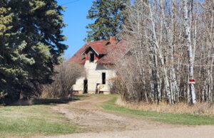 Stettler House Fire Deemed Suspicious; No Injuries Reported Abandoned beige house with a red roof partially hidden by bare trees along a dirt path under a clear blue sky.