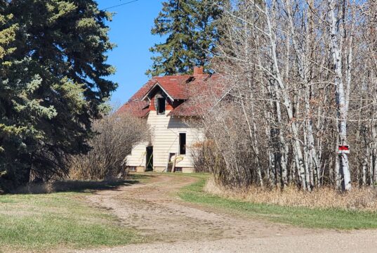 Stettler House Fire Deemed Suspicious; No Injuries Reported Abandoned beige house with a red roof partially hidden by bare trees along a dirt path under a clear blue sky.