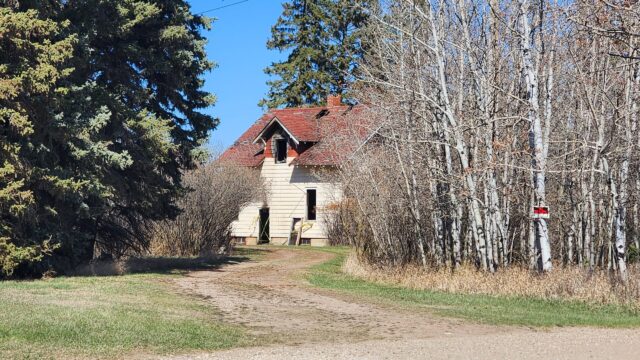 Abandoned beige house with a red roof partially hidden by bare trees along a dirt path under a clear blue sky.