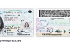 Alberta to Combine Driver’s Licences and Health Cards Starting July 2