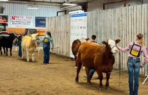 4-H Provincial Beef & Sheep Show Held in Stettler