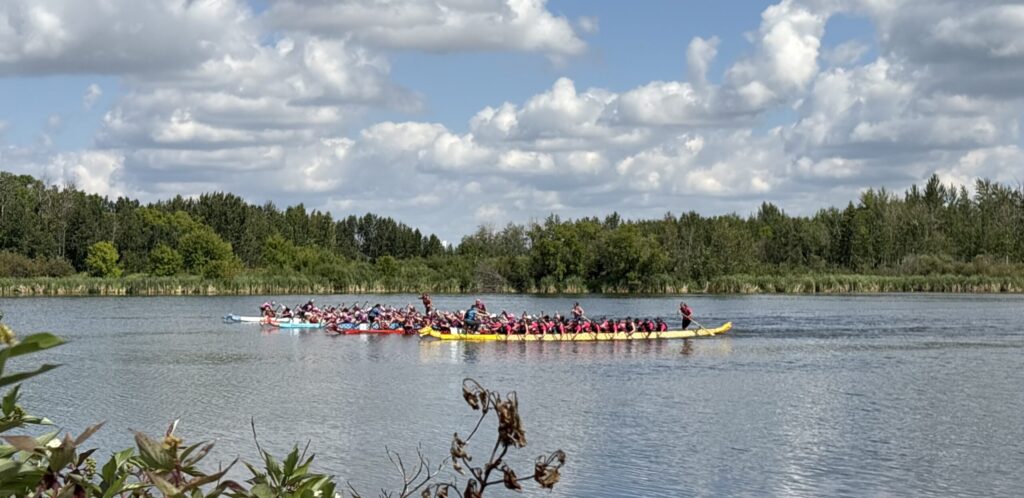 Dragon boat team paddling on a calm lake with a tree-lined shore and cloudy sky above.