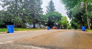 Stettler Transitions Residential Recycling to Circular Materials Program Quiet suburban street lined with tall trees and blue recycling bins at the curb.