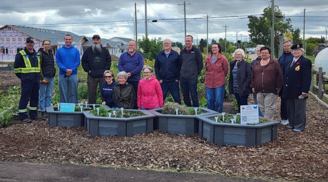 Group of diverse volunteers standing behind raised garden beds in a community garden, with houses and trees in the background.