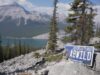 Alberta Launches First Conservation Specialty Licence Plate Alpine lake landscape with pine trees and rocky foreground; an Alberta license plate reads 'AB WILD' on a rock in the foreground.