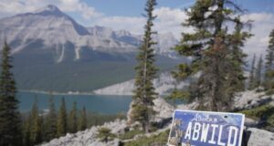Alberta Launches First Conservation Specialty Licence Plate Alpine lake landscape with pine trees and rocky foreground; an Alberta license plate reads 'AB WILD' on a rock in the foreground.