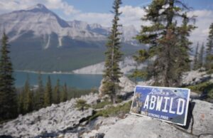 Alberta Launches First Conservation Specialty Licence Plate Alpine lake landscape with pine trees and rocky foreground; an Alberta license plate reads 'AB WILD' on a rock in the foreground.