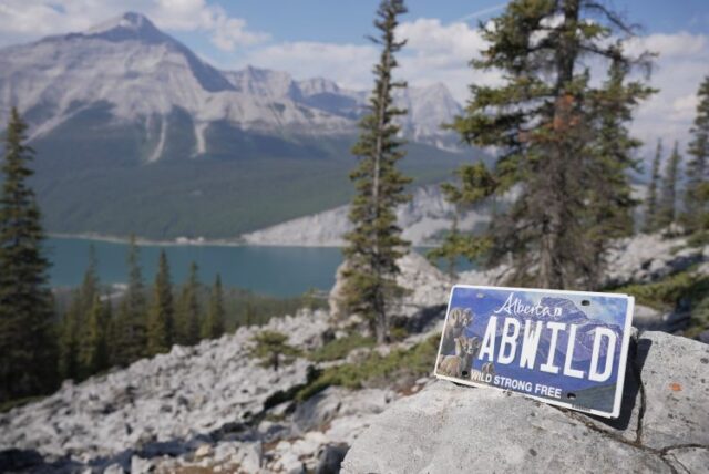 Alpine lake landscape with pine trees and rocky foreground; an Alberta license plate reads 'AB WILD' on a rock in the foreground.