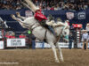 Canadian Finals Rodeo 2026: Ben Andersen Dethrones Zeke Thurston Cowboy in a red shirt and white hat rides a bucking gray horse during a rodeo in front of cheering stands for a dramatic moment in the arena.