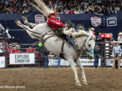 Canadian Finals Rodeo 2026: Ben Andersen Dethrones Zeke Thurston Cowboy in a red shirt and white hat rides a bucking gray horse during a rodeo in front of cheering stands for a dramatic moment in the arena.