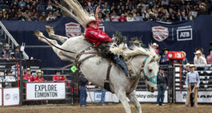 Canadian Finals Rodeo 2026: Ben Andersen Dethrones Zeke Thurston Cowboy in a red shirt and white hat rides a bucking gray horse during a rodeo in front of cheering stands for a dramatic moment in the arena.