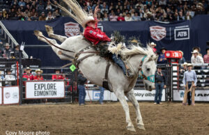 Canadian Finals Rodeo 2026: Ben Andersen Dethrones Zeke Thurston Cowboy in a red shirt and white hat rides a bucking gray horse during a rodeo in front of cheering stands for a dramatic moment in the arena.