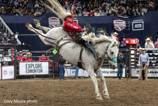 Canadian Finals Rodeo 2026: Ben Andersen Dethrones Zeke Thurston Cowboy in a red shirt and white hat rides a bucking gray horse during a rodeo in front of cheering stands for a dramatic moment in the arena.