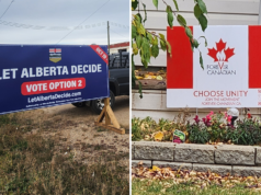 Referendum Results: Drumheller-Stettler Area Votes Narrowly To Stay In Canada Two roadside signs: on the left a blue Alberta election banner reading 'LET ALBERTA DECIDE' and 'VOTE OPTION 2'; on the right a white-and-red 'FOREVER CANADIAN' sign with a maple leaf and 'CHOOSE UNITY' text.